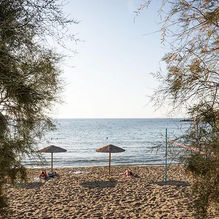 Villa Aniv By The Sea